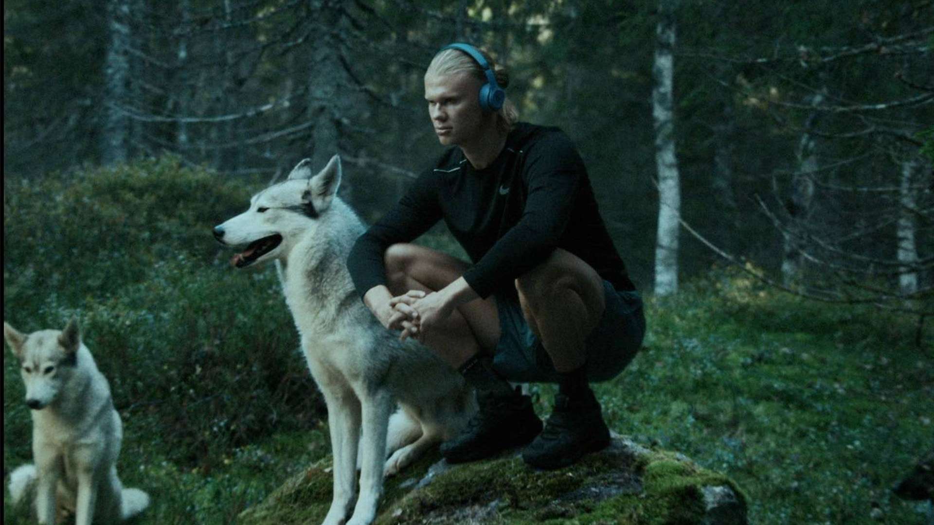 从而降低了 从而降低了