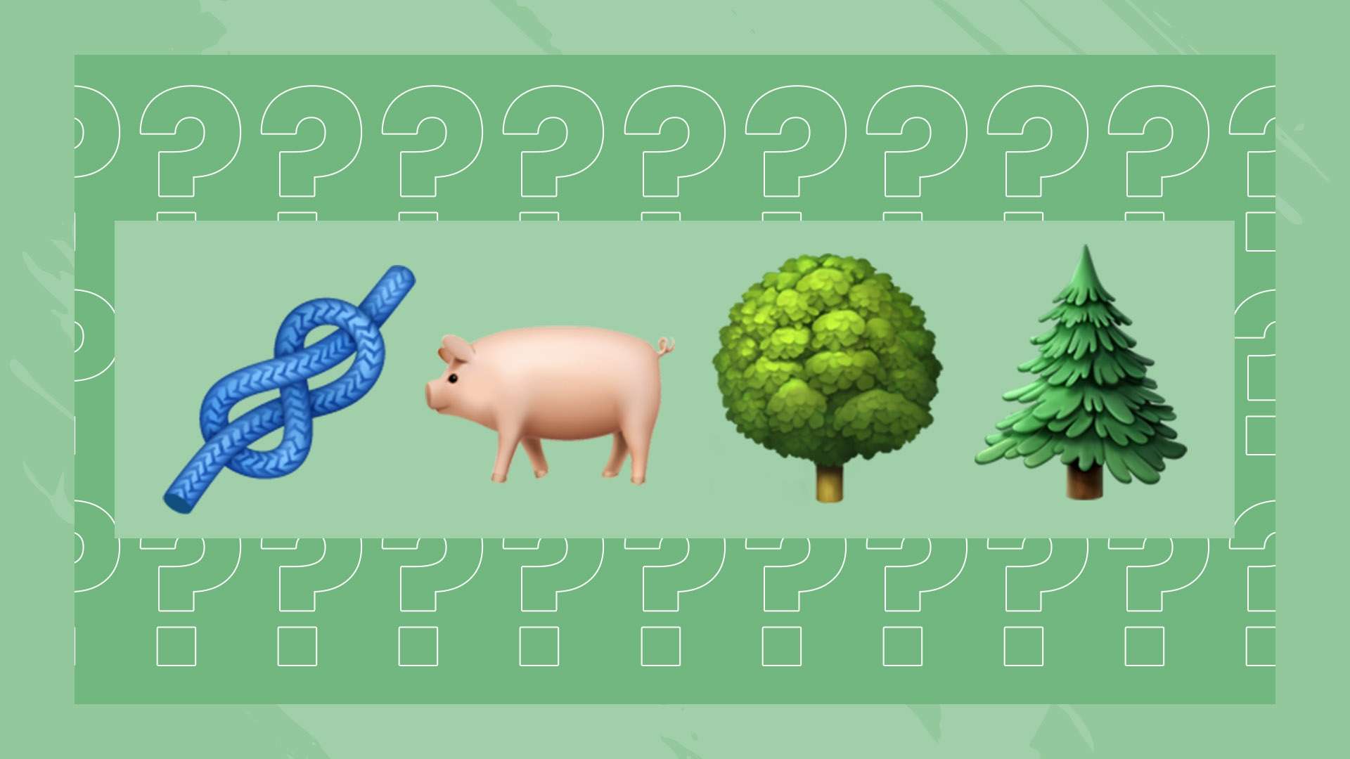 赛事平台 赛事平台